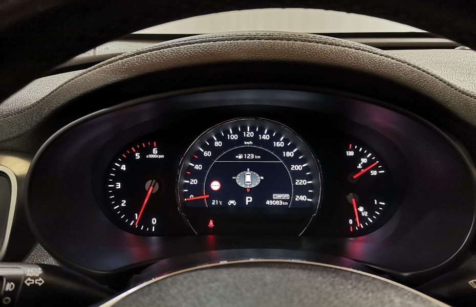 Kia Sorento 2.2 CRDi Platinum 4WD AT Pano|Navi|360°|Leder