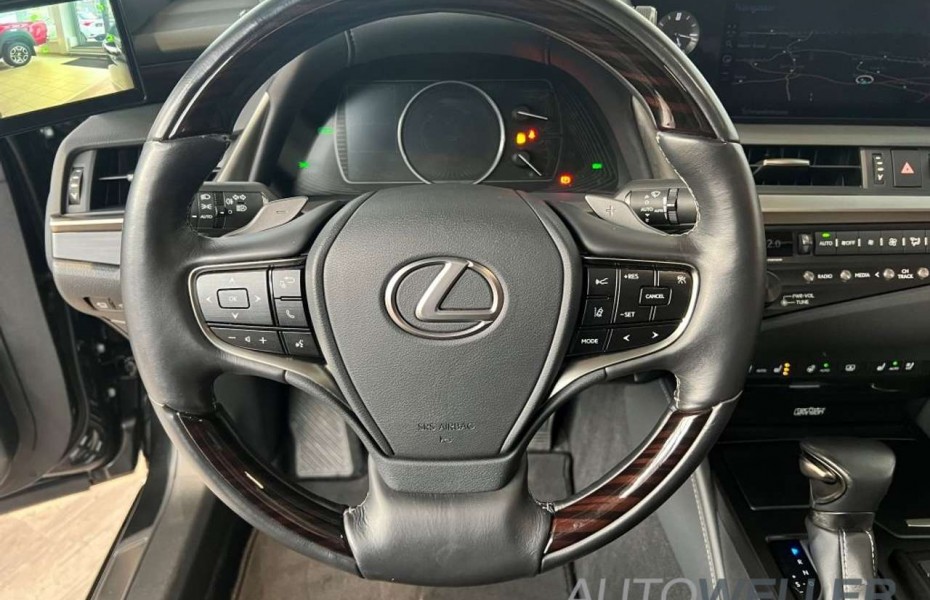 Lexus ES 300h Luxury Line *digitale Außenspiegel*