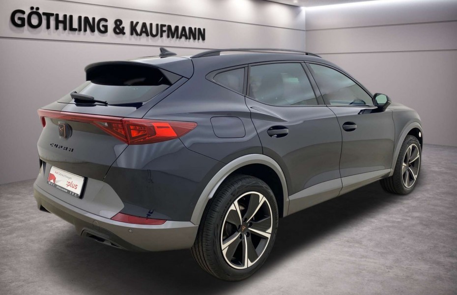 Cupra Formentor 2.0 TDI 4Drive DSG LED Navi Virtual Privacy Kamera