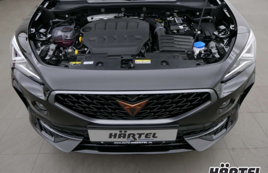 Cupra Formentor 4DRIVE TSI DSG (+ACC-RADAR+ALLRAD+NAVI+A