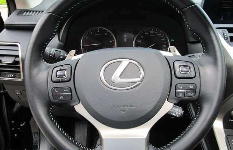 Lexus NX 300 Executive Line Leder/Schiebedach/AHK