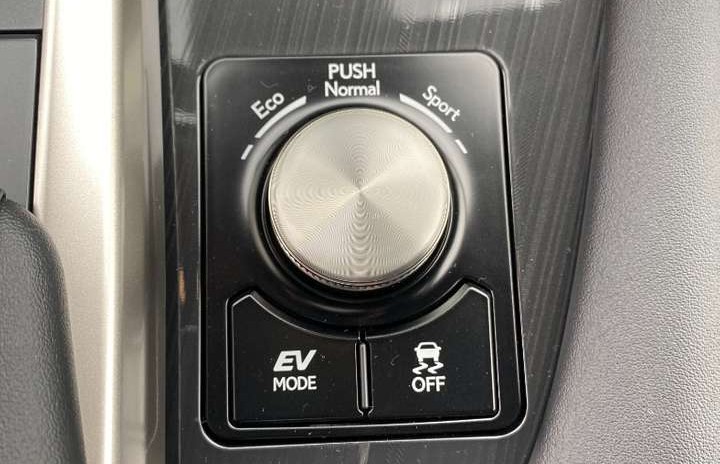 Lexus RX 450h AWD Executive Line Klimaautom. 4x4