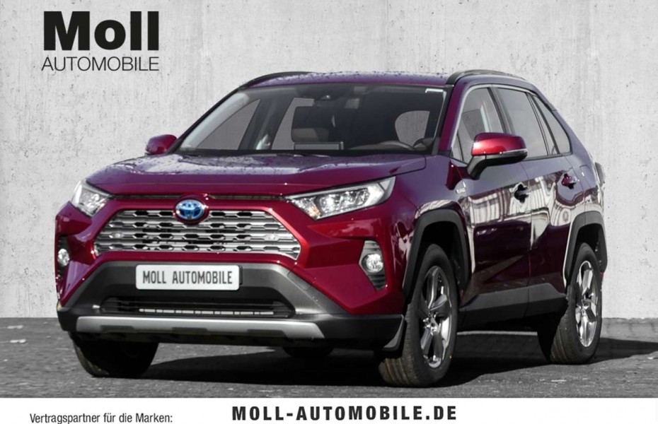 Toyota RAV4 Hybrid 4x4 Team Deutschland 2.5 VVT-i EU6d