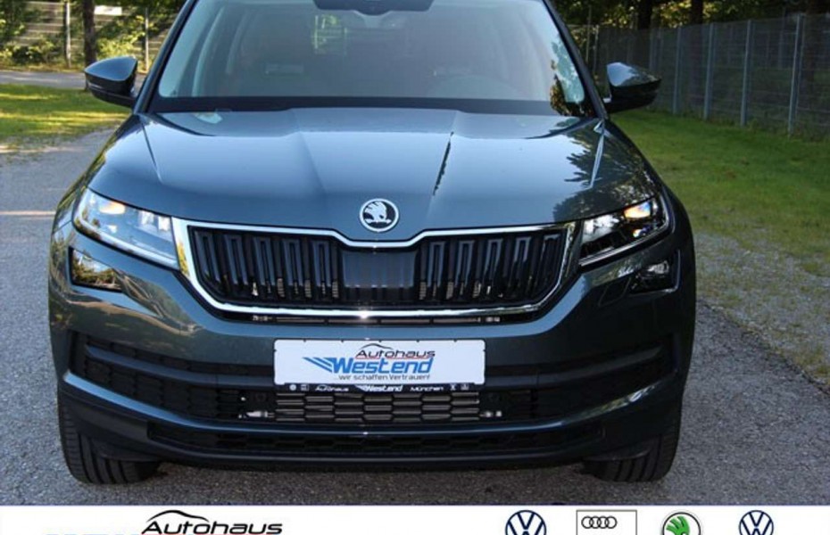 Škoda Kodiaq Style 2.0 TDI 147kW Allrad Aut. LED Navi Leder Sty