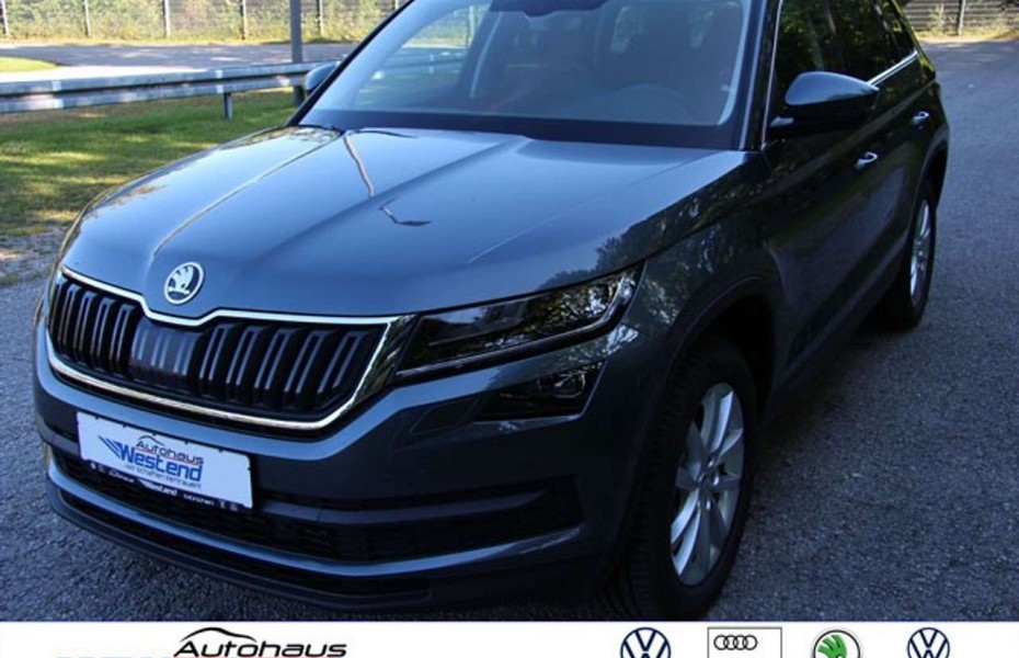 Škoda Kodiaq Style 2.0 TDI 147kW Allrad Aut. LED Navi Leder Sty