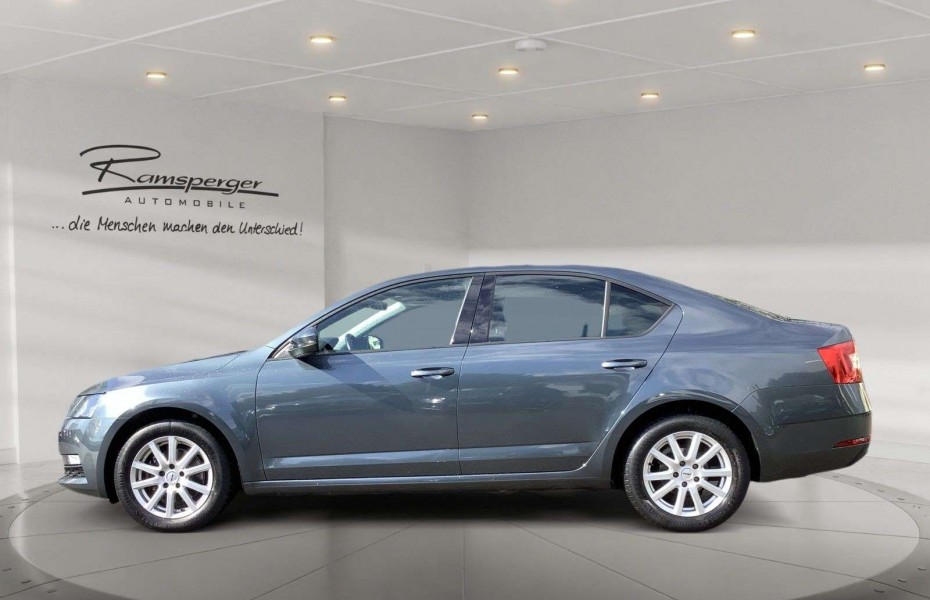 Škoda Octavia 2.0 TDI Ambition Navi GRA SHZ PDC