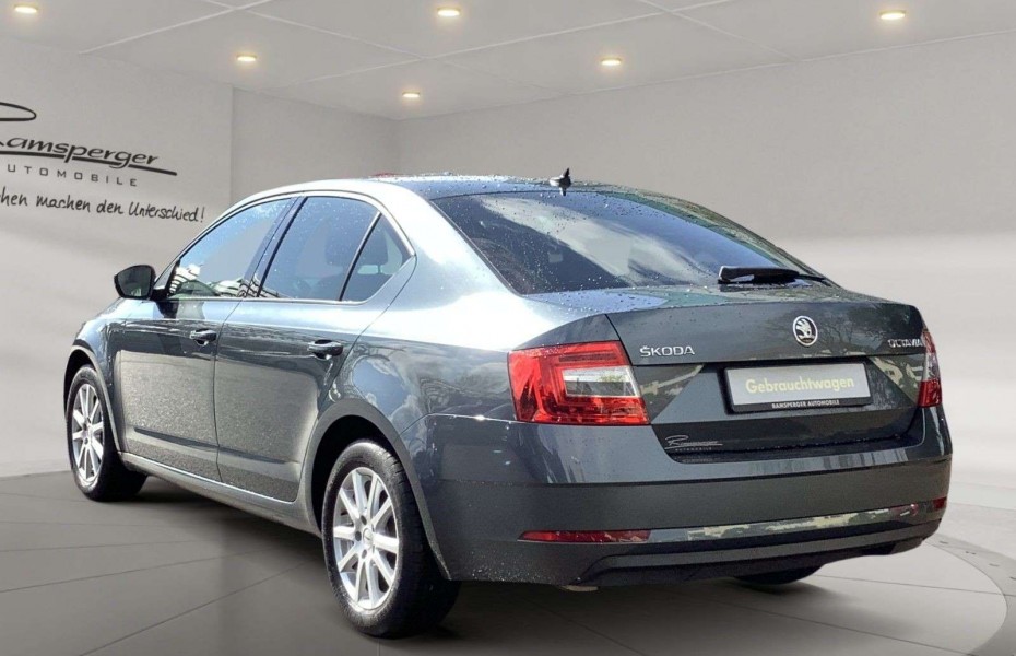 Škoda Octavia 2.0 TDI Ambition Navi GRA SHZ PDC