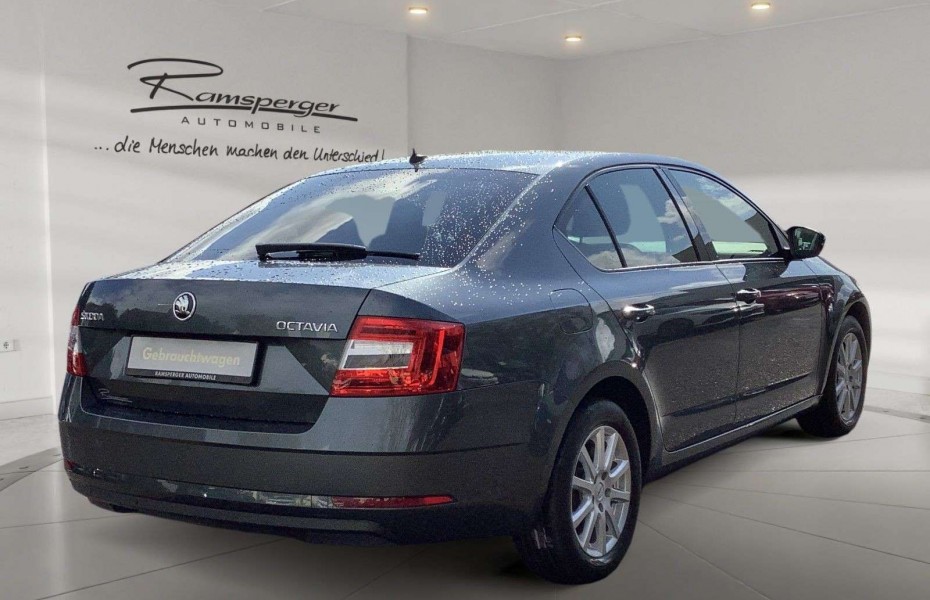 Škoda Octavia 2.0 TDI Ambition Navi GRA SHZ PDC