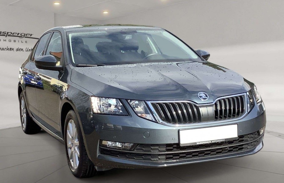 Škoda Octavia 2.0 TDI Ambition Navi GRA SHZ PDC