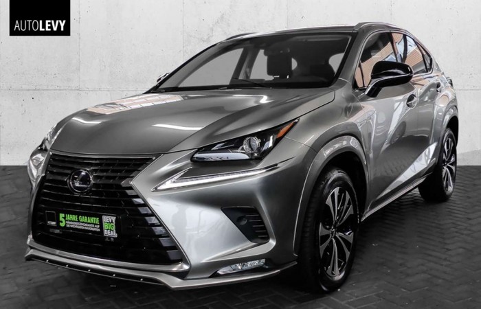 Lexus NX 300