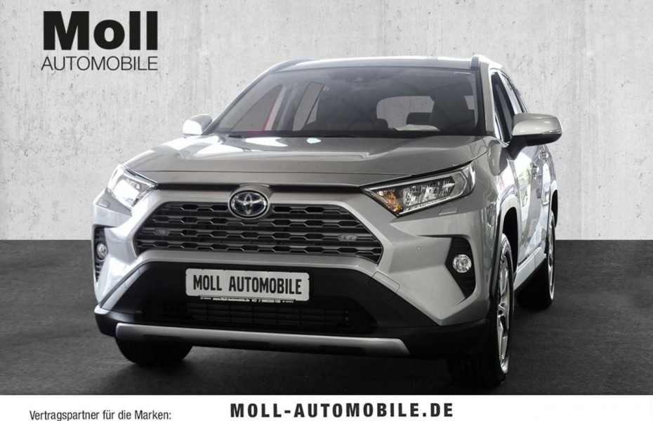 Toyota RAV4 Hybrid 4x4 Team Deutschland 2.5 VVT-i EU6d