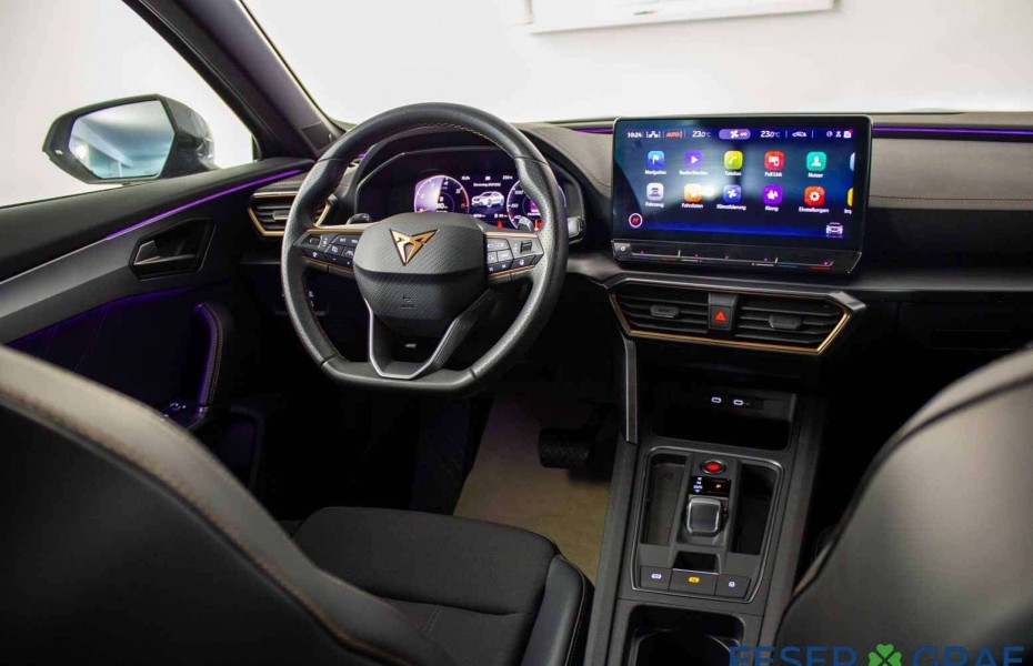 Cupra Formentor 2.0 TDI DSG 4Drive Pano|AHK|TopView Ka