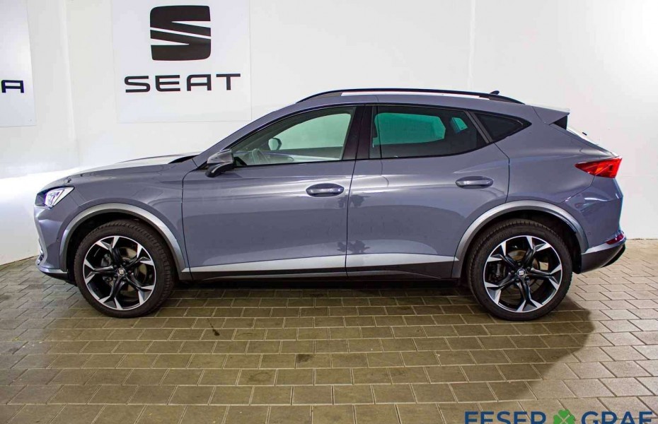 Cupra Formentor 2.0 TDI DSG 4Drive Pano|AHK|TopView Ka