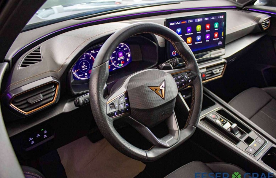 Cupra Formentor 2.0 TDI DSG 4Drive Pano|AHK|TopView Ka