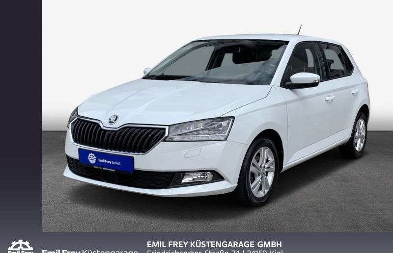 Škoda Fabia 1.0 TSI StylePDC,SHZ,LED,GRA, App-Connect