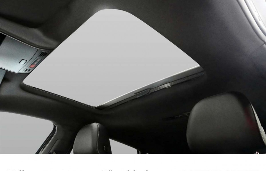 Volkswagen Polo GTI 2.0 TSI 7-GANG-DSG