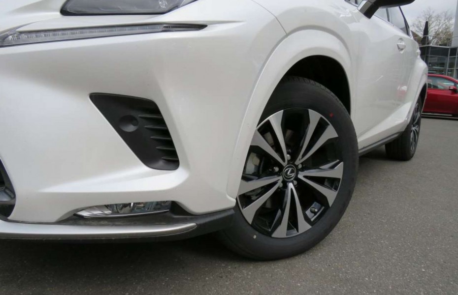 Lexus NX 300 300h