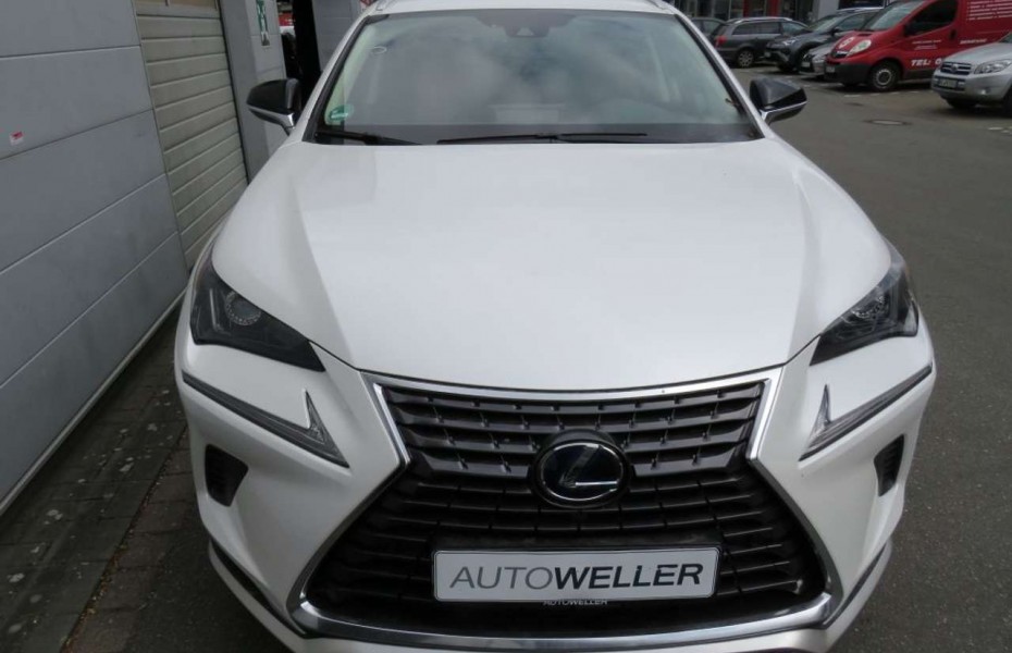 Lexus NX 300 300h