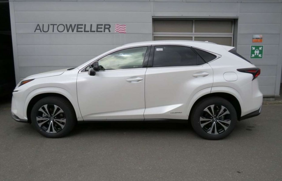 Lexus NX 300 300h