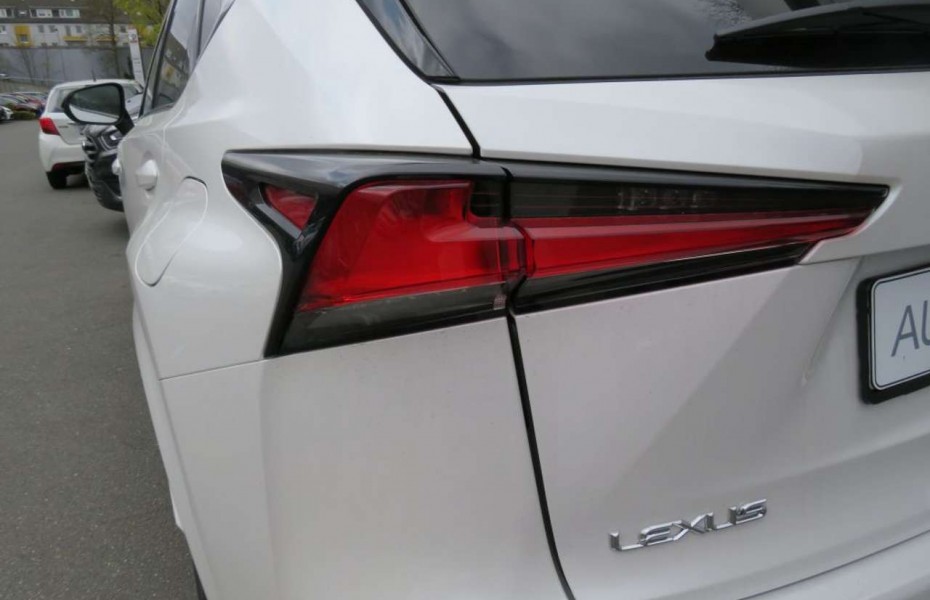 Lexus NX 300 300h